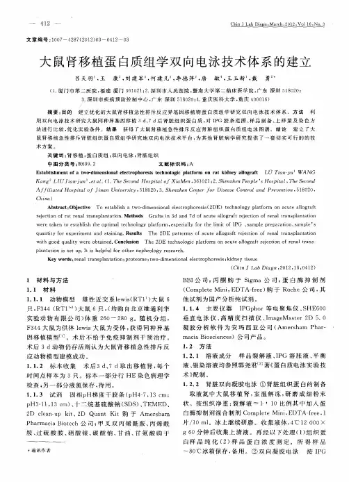 大鼠肾移植蛋白质组学双向电泳技术体系的建立