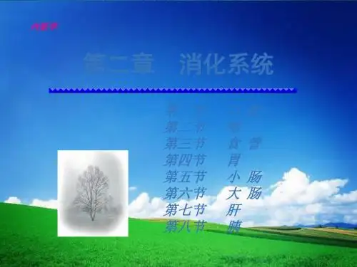 消化系统结构与功能ppt课件