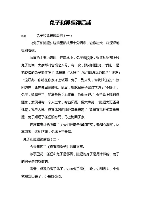 兔子和狐狸读后感
