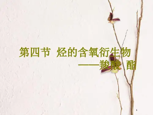 高考化学二轮复习 第九章(B)有机化学基础 9.4 烃的含氧衍生物——羧酸 酯课件.pptx