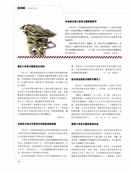 重庆口岸首次截获埃及伊蚊