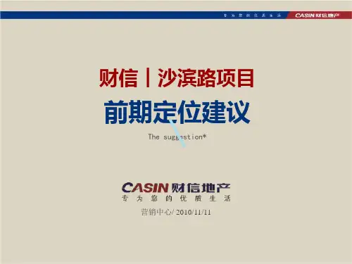 重庆财信沙滨路项目前期定位建议