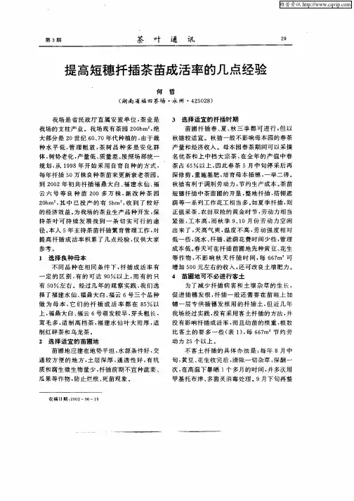 提高短穗扦插茶苗成活率的几点经验