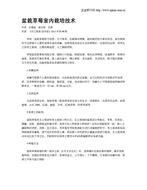 盆栽草莓室内栽培技术