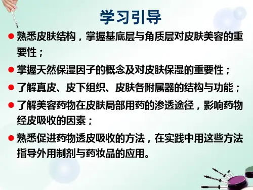 美容药物学 皮肤结构与美容药物的透皮吸收