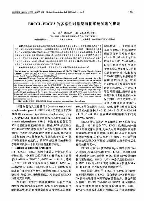 ERCC1、ERCC2的多态性对常见消化系统肿瘤的影响