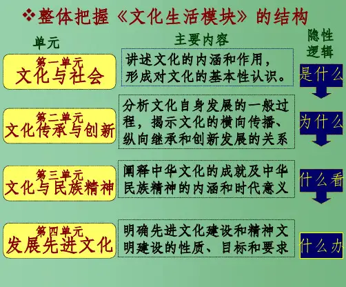 高中政治 第一课 文化与生活 新人教版必修3