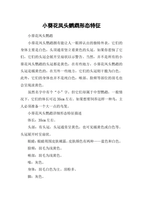 小葵花凤头鹦鹉形态特征
