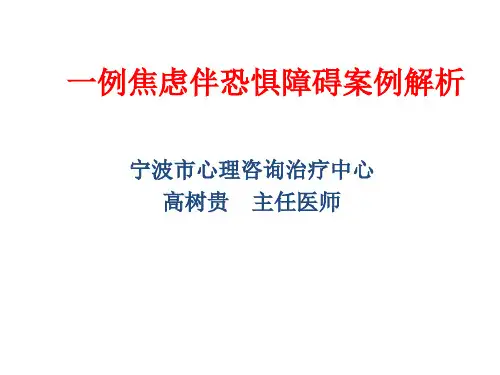 (高树贵)焦虑障碍患者案例解析