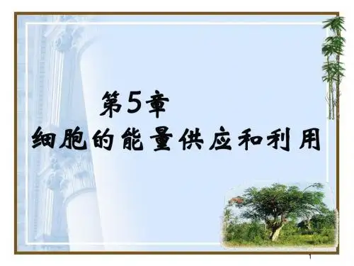 降低活化能的酶上课0