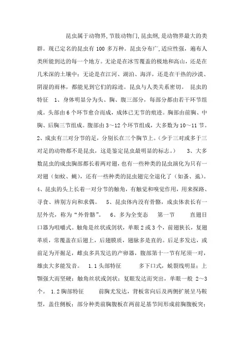 昆虫分类