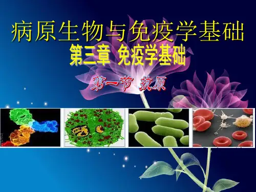 病原生物与免疫学基础第三章第一节抗原