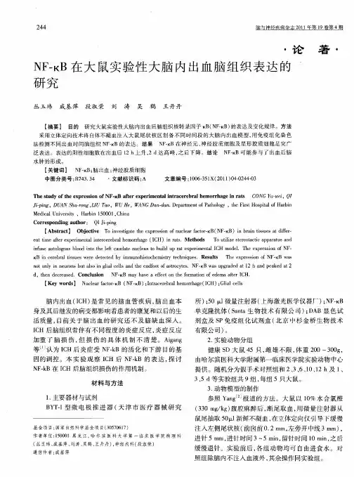 NF-κB在大鼠实验性大脑内出血脑组织表达的研究