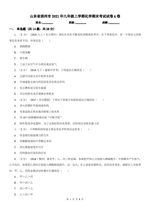 山东省滨州市2021年九年级上学期化学期末考试试卷A卷(练习)