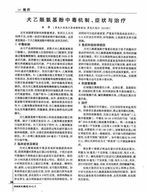 犬乙酰氨基酚中毒机制、症状与治疗