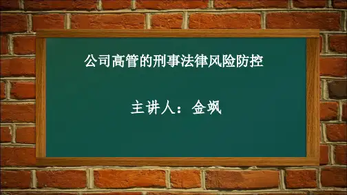 《公司高管的刑事法律风险防控》-金飒解析