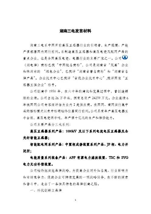 湖南三电品牌建设汇报