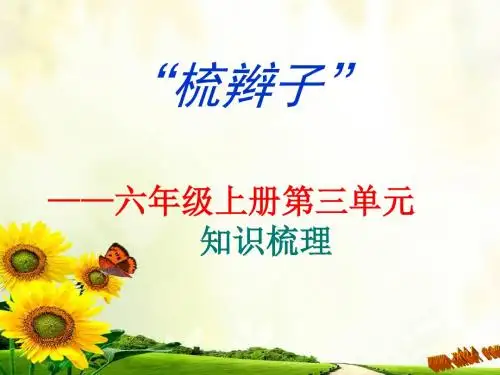 六年级上册语文第三单元知识复习