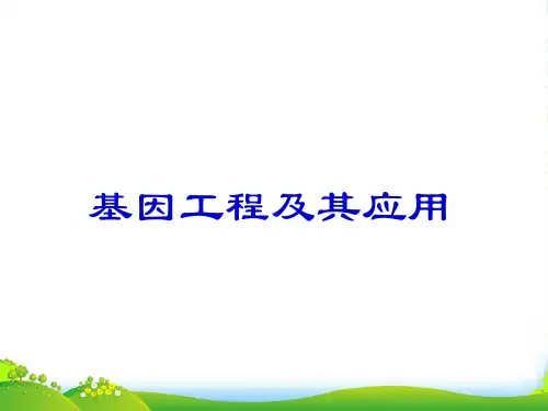 人教版高中生物必修(二) 6.2基因工程与应用 课件(共36张PPT)