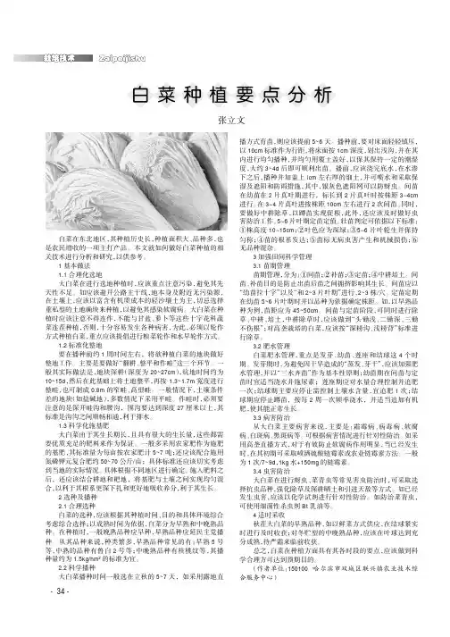 白菜种植要点分析