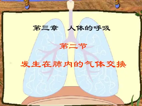 三章节人体呼吸