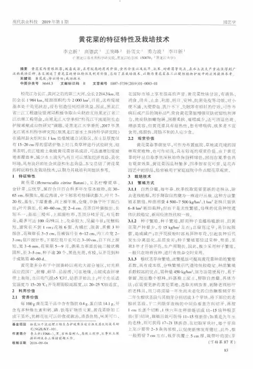 黄花菜的特征特性及栽培技术