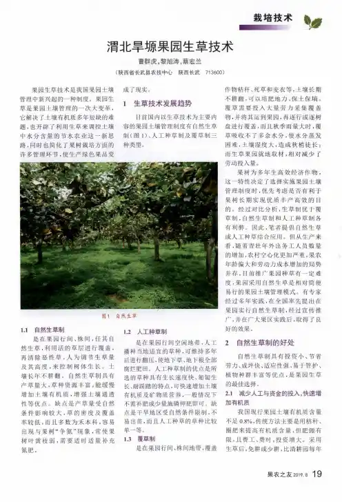 渭北旱塬果园生草技术