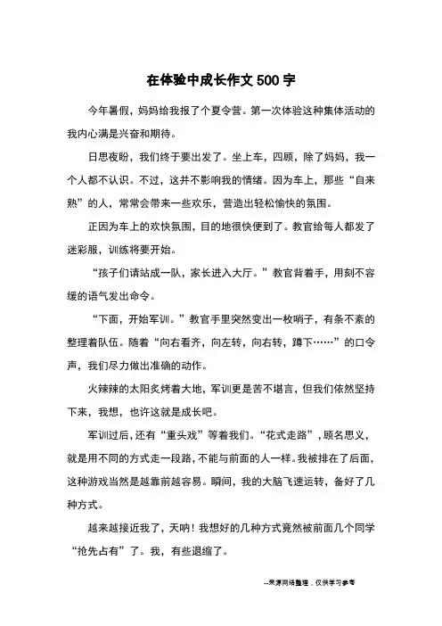 在体验中成长作文500字_优秀作文
