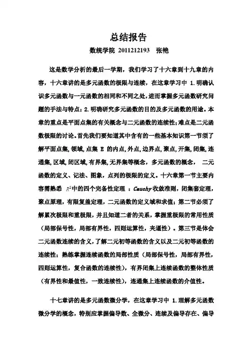 2019年数学分析报告总结.doc