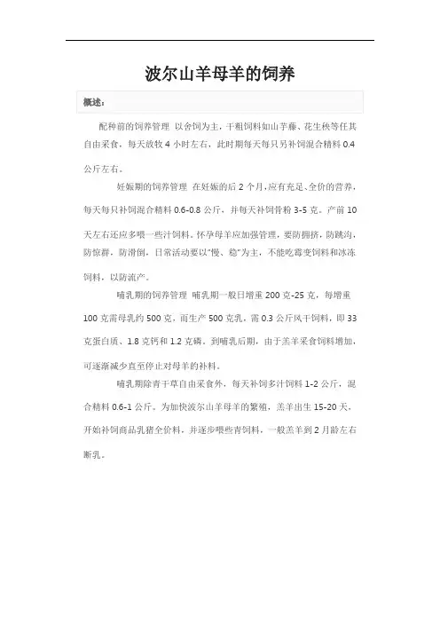 波尔山羊母羊的饲养