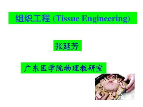 1组织工程概论2012