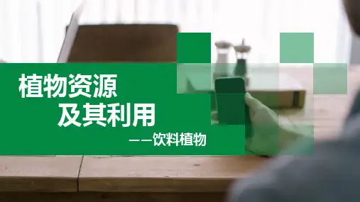 饮料植物PPT课件