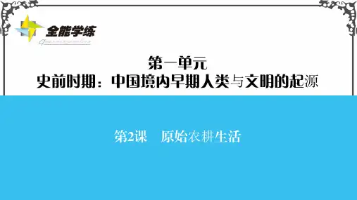 人教版历史七年级第2课 原始农耕生活课件