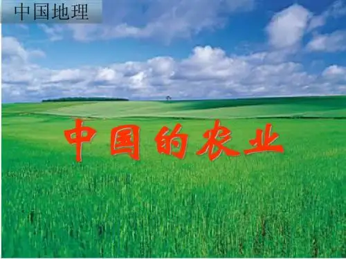 中国的农业(上课)