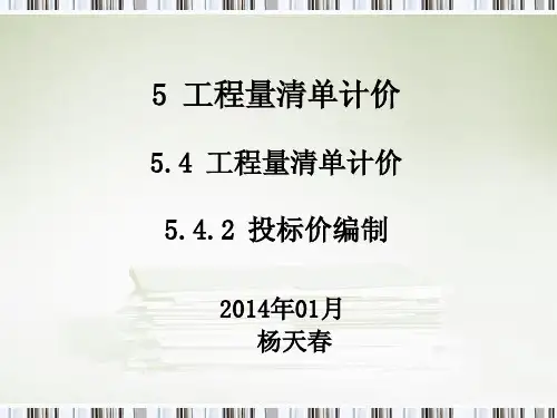050402投标价-2013