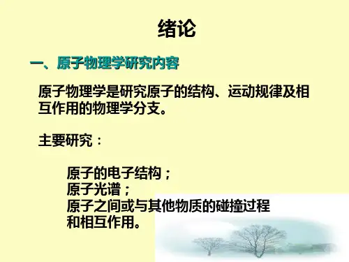 【精品课件】原子的基本状况