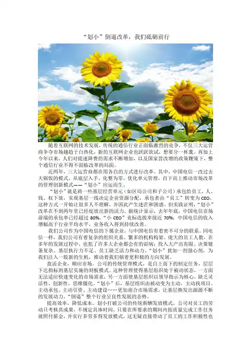 “划小”倒逼改革,我们砥砺前行--马晓栋