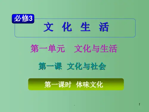 高考政治复习 第1单元第1课第1课时 体味文化 新人教版必修3