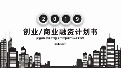 黑白风商业融资计划书PPT模板