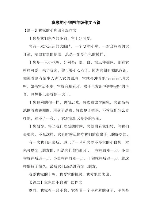 我家的小狗四年级作文五篇