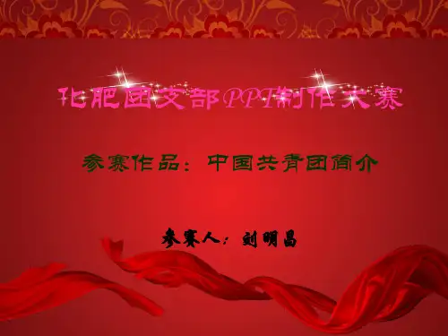 大赛参赛作品——共青团简介