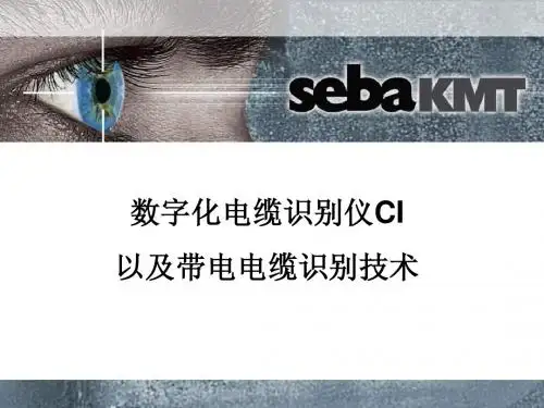 电缆识别技术