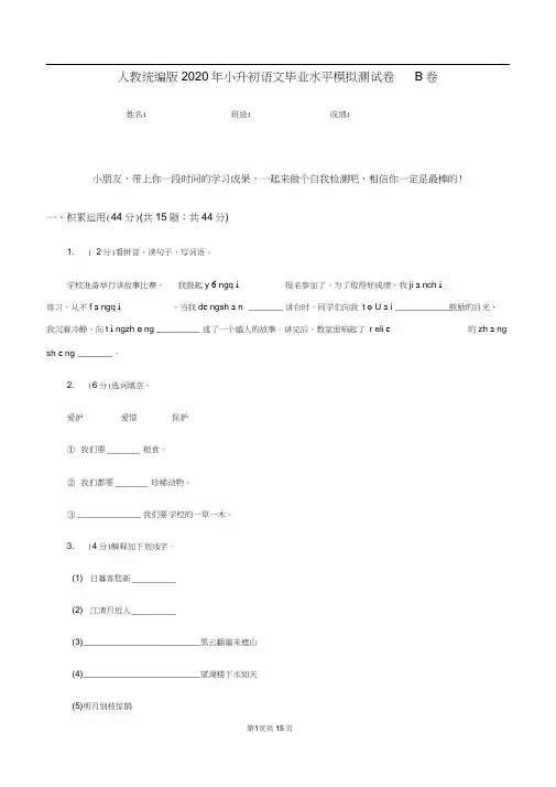 人教统编版2020年小升初语文毕业水平模拟测试卷B卷
