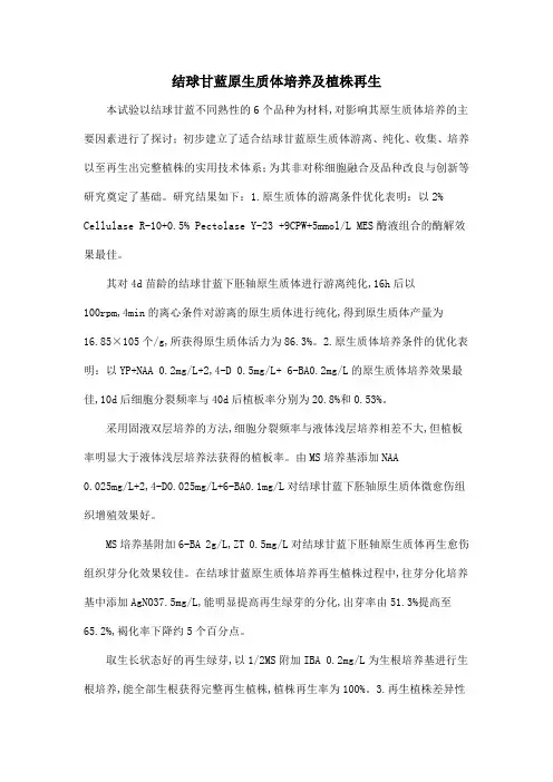 结球甘蓝原生质体培养及植株再生