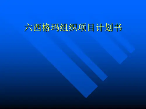 六西格玛组织项目计划书