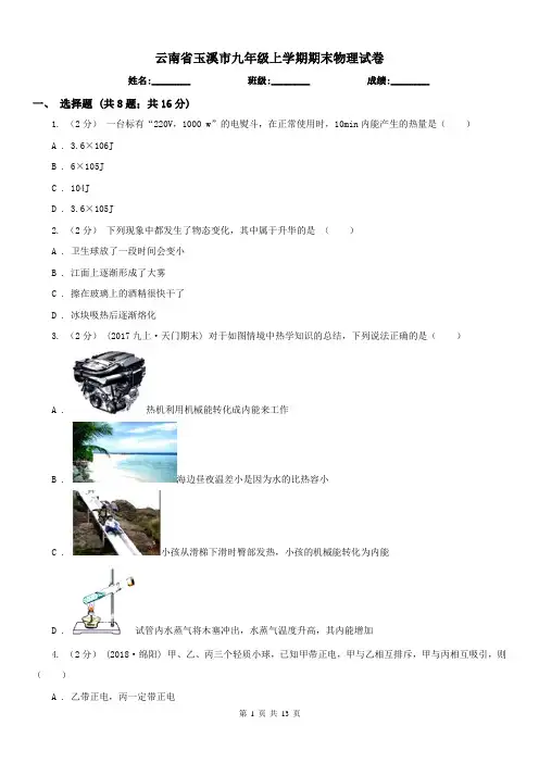云南省玉溪市九年级上学期期末物理试卷