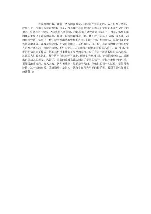 蔷薇花