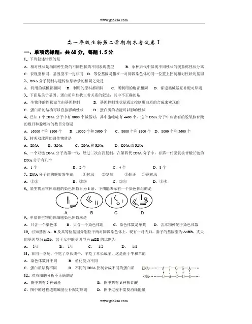 高一年级生物第二学期期末考试卷11