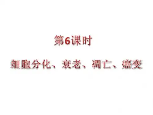 第6课时 细胞的分化、衰老、凋亡、癌变