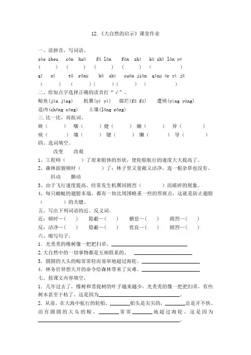 12大自然的启示作业